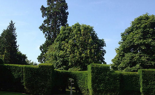 網絡游戲情侶名字