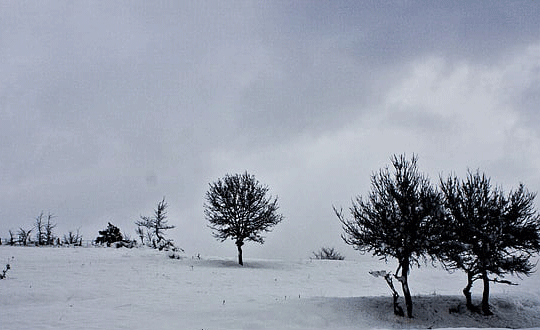 搞笑的王者榮耀男生網名大全