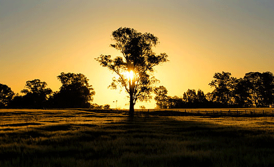 霸氣的游戲名字,女生霸氣的游戲名字大全繁體字