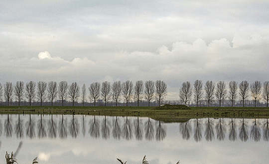 免費八字名字測試打分