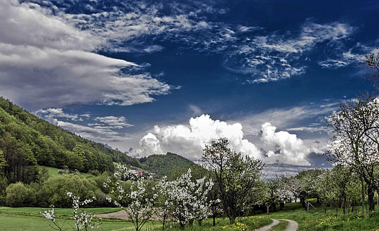 新生男孩取名寶典,氣質文雅男孩名字大全