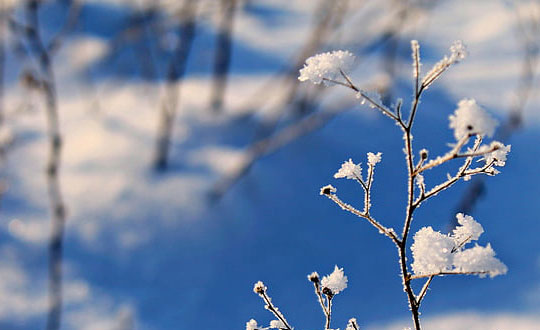 新生兒免費(fèi)自動(dòng)取名100分 新生兒寶寶取名大全:取名小技巧