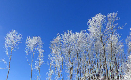 女孩名字取什么好聽有內涵寓意:單字推薦