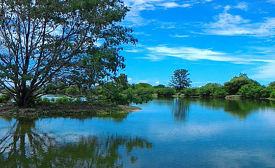 新生兒取名優美內涵的女孩名字推薦