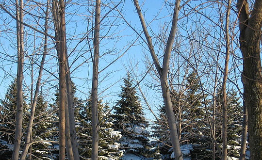 超好聽(tīng)有文化內(nèi)涵的詩(shī)意女孩名字