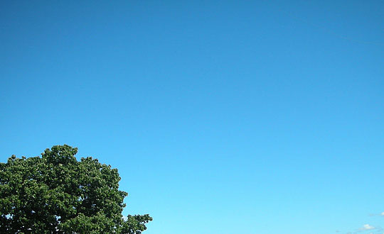 女孩取名新穎有涵養 端莊大方女孩名字:取名方法參考