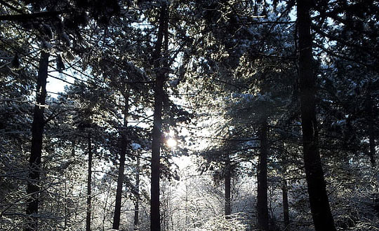 女寶寶起名時尚洋氣有寓意:內(nèi)涵字推薦