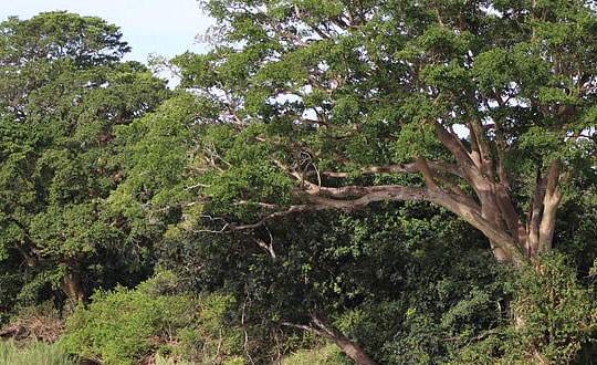 適合寶寶最好聽的女孩名字大全:文雅洋氣