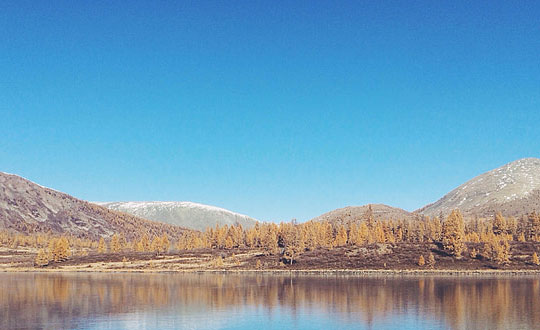 姓龔的女孩名字洋氣點:起名案列分享