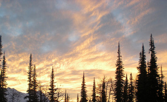 女孩名字聰明有涵養(yǎng) 女孩名字庫精選：經典字推薦