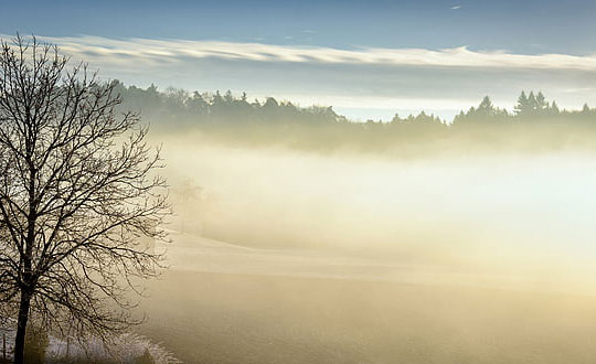 寶寶起名字,起名網女孩起名大全