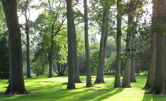 女孩起名字有哪些技巧 好聽女孩子名字:文雅有寓意