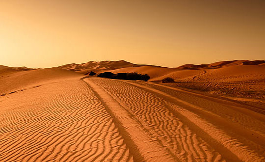 女孩經(jīng)典名字,好聽(tīng)男孩女孩名字大全:取名單字分享