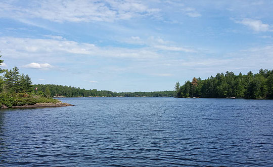儒雅的女孩名字優雅大氣：源自詩意有寓意