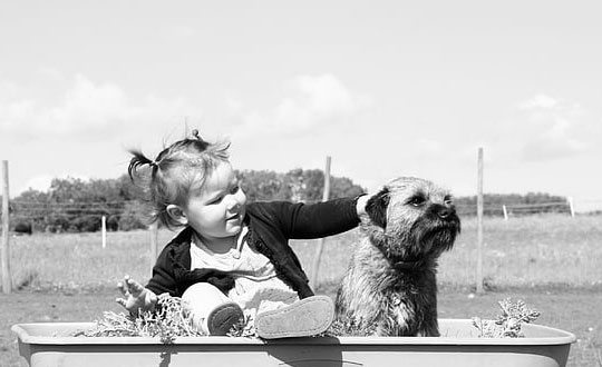 給新生女孩起名字,女孩經典名字大全:起名方法技巧