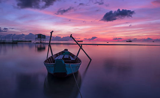 高貴優雅的女孩名字大全:唯美陽光