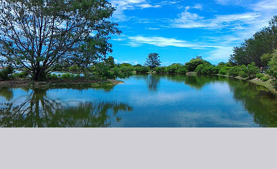 女孩優雅名字,免費女孩起名字大全：內涵洋氣