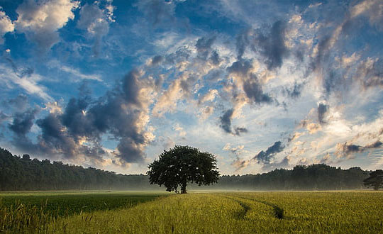 女孩起名什么字好聽,100分免費取名字
