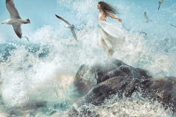 家族名字簡單有氣質