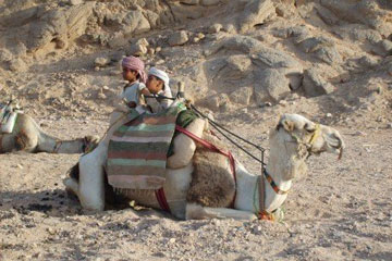 有涵養好聽的寶寶名字