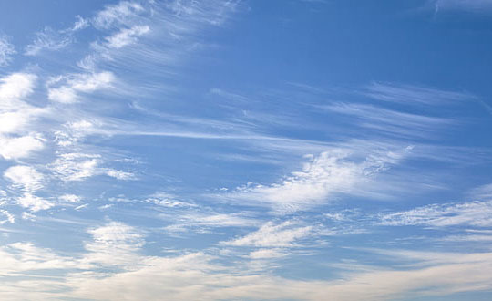 五行屬木的男孩名字 屬木的男孩名字大全:唯美洋氣