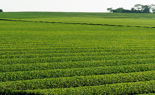 男孩名字簡單大氣 寓意好獨特少見的名字:內涵字推薦