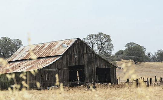獨特好聽姓王男孩名字精選：小技巧參考