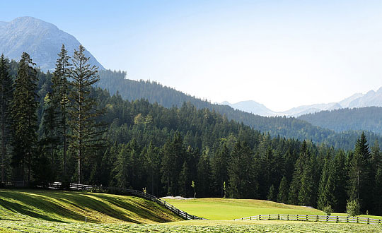 采用古詩為男孩起名字,獨特新穎有涵養的寶寶名字