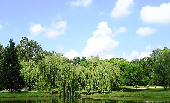 男孩起名字怎么取才更有內涵:名字精選