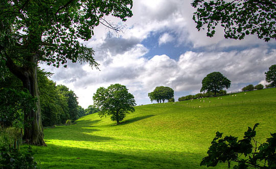 男孩新穎有涵養的名字,寓意好大氣的名字男孩：大氣有內涵