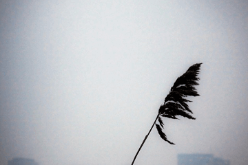 電視劇去有風的地方經(jīng)典語錄大全,優(yōu)秀臺詞