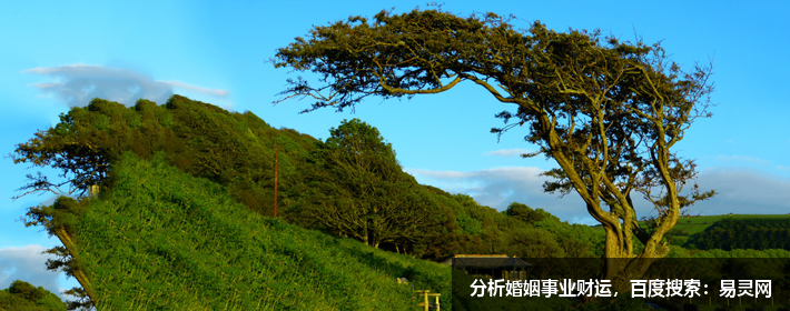 楊姓簡單寓意好的名字有哪些？