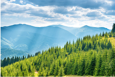 一眼驚鴻,小眾網名昵稱