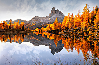 女生網名冷門又很可愛,真的不來看看嘛！