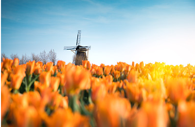 搞笑情侶昵稱一對一，微信網名2024新款（精選30款）