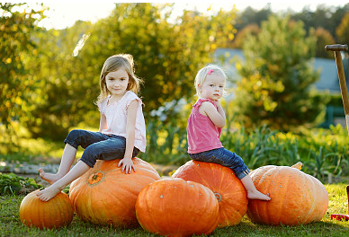 夏姓驚艷的名字 帶夏字的女孩名字大全