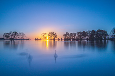 可愛好聽不易撞的網名