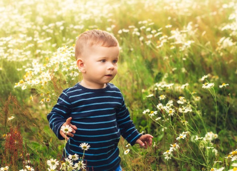 滕王閣序取名男孩，取自滕王閣序中的驚艷男孩名