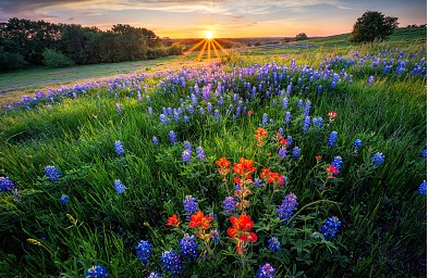 讓人覺(jué)得很可愛(ài)、很有安全的情侶網(wǎng)名