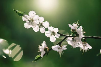 微信昵稱大全:女生四個(gè)字具有深意的微信名字