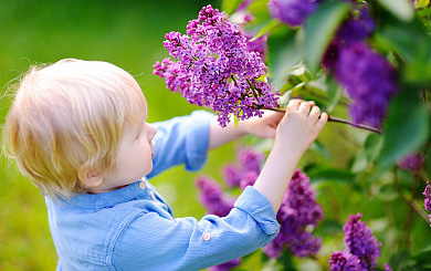 起名必看！出自《山海經(jīng)》中仙氣繚繞的男孩好名字