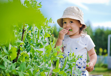用《詩經》取個寓意大氣的女孩名字到底有多美，你絕對想不到！