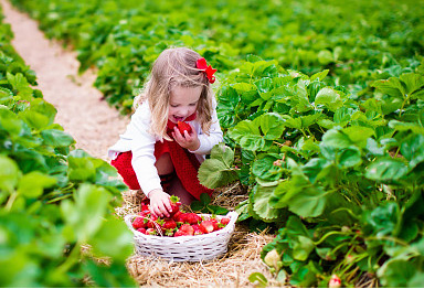 寶寶起名:出自宋詞里驚艷的男孩名、女孩名!