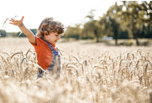 賀姓男孩取名100分 (姓賀的男孩洋氣好名字有哪些)