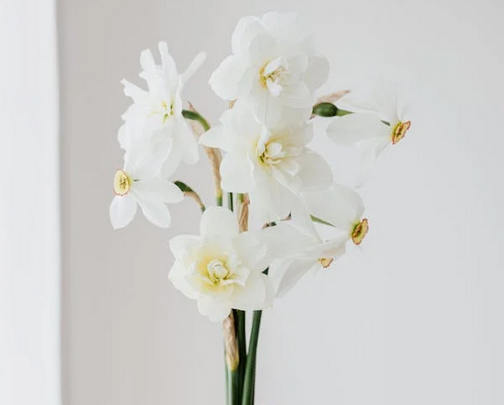 簡約ins風工作室名字有哪些？