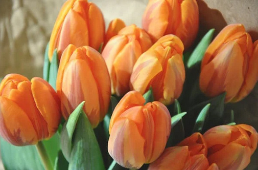 “改個茶系微信網名” 用茶取網名，高雅爆好聽