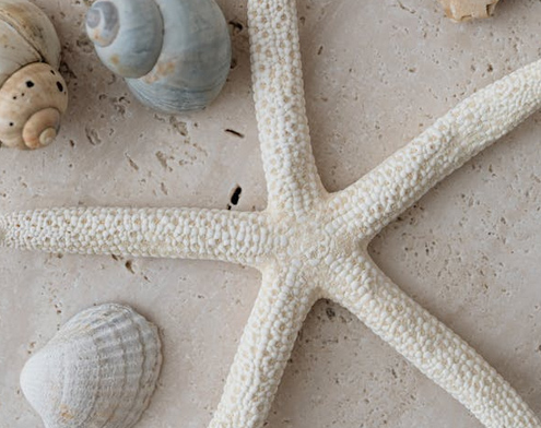 姓羅有氣質的男孩名字大全,收藏留著給寶寶起名用