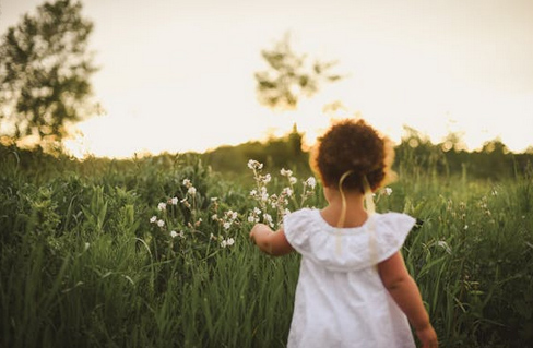鮑姓女孩起名,姓鮑女孩名字有詩意的