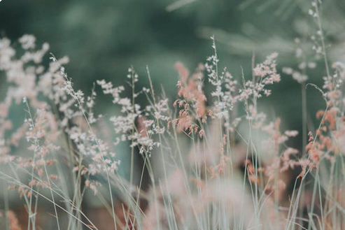 2025新款霸氣的網名