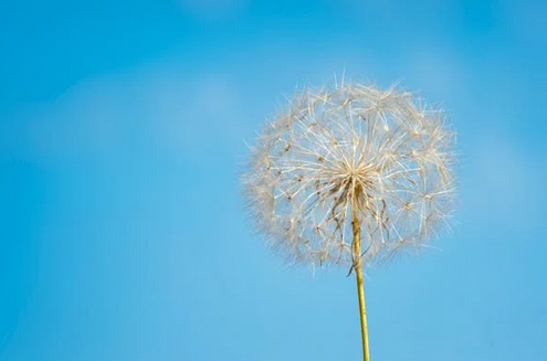寶寶起名,賀姓二字特別吉利的名字女孩